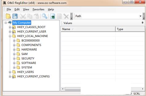 Registry Workshop 5.1.0 Download