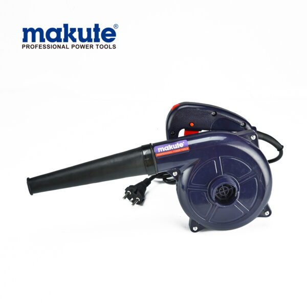 Souffleur électrique portatif 600W